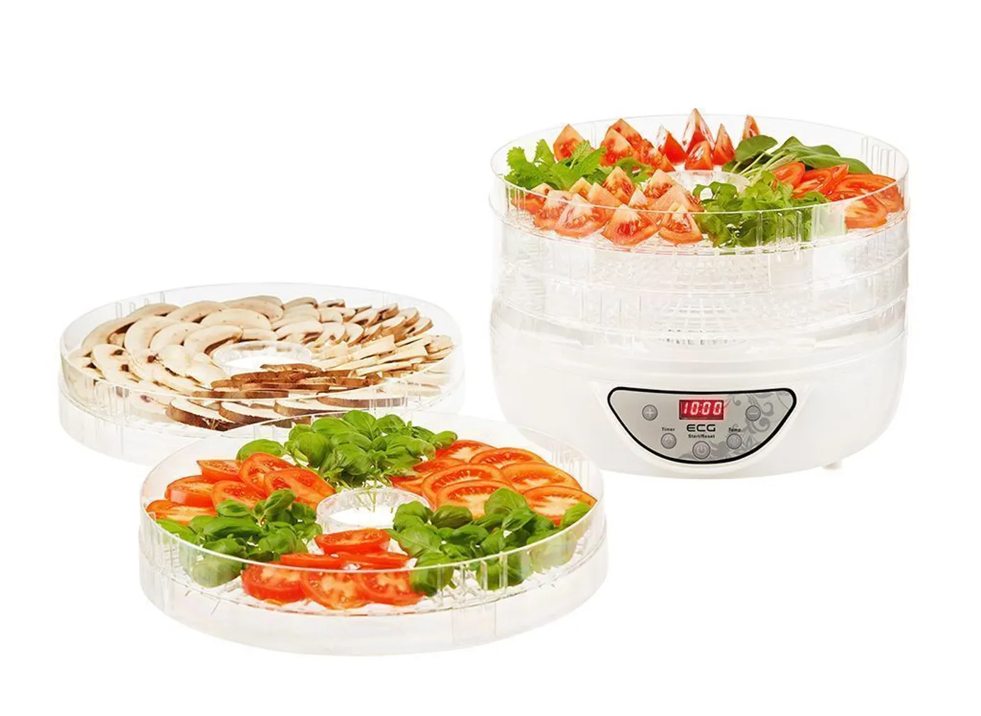 TOIDUKUIVATI ECG SO 570