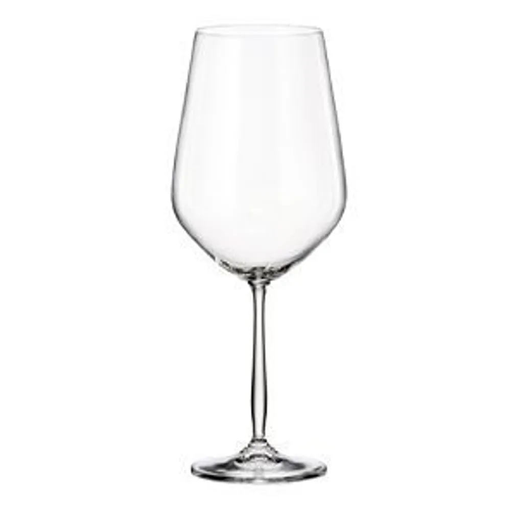 VALGE VEINI KLAASID MAISON FORINE GOURMET 450ML 4TK