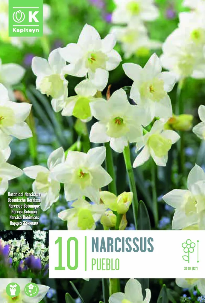 NARTSISS KAPITEYN PUEBLO 10TK