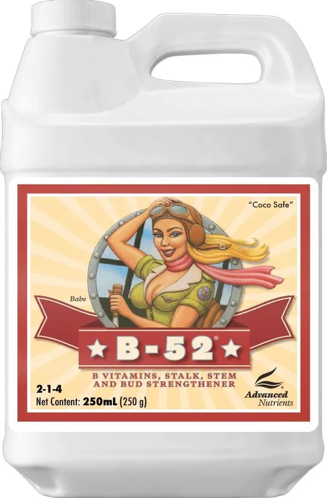 TAIMETUGEVDUSAINE ADVANCED NUTRIENTS B-52 250ML