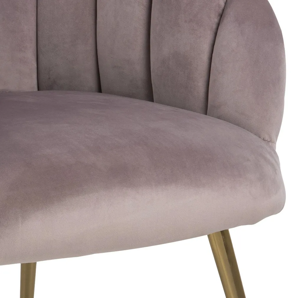 TUGITOOL DANIELLA VANAROOSA