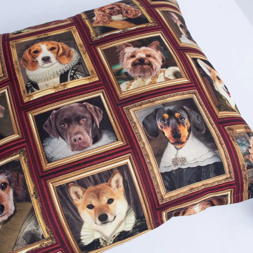 PADI HOLLY 45X45CM, KOERAD RAAMIS