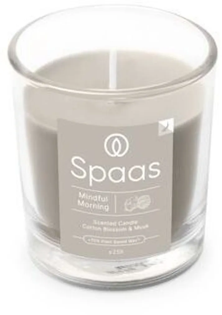 LÕHNASTATUD KÜÜNAL SPAAS KLAASIS LÄBIPAISTEV 25H PUUVILLAÕIS