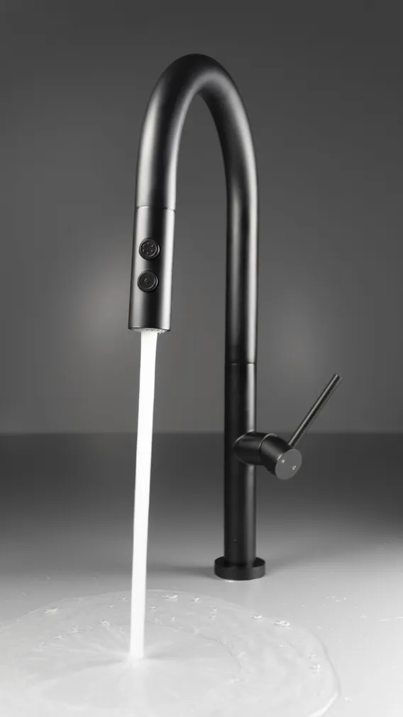 KÖÖGISEGISTI DEANTE OLFATO VÄLJATÕMMATAV 2-JOALINE MUST