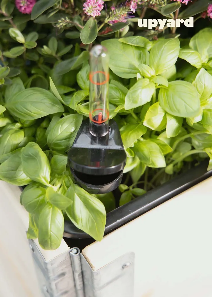 KASVULAVA UPYARD SUUR 55X37CM