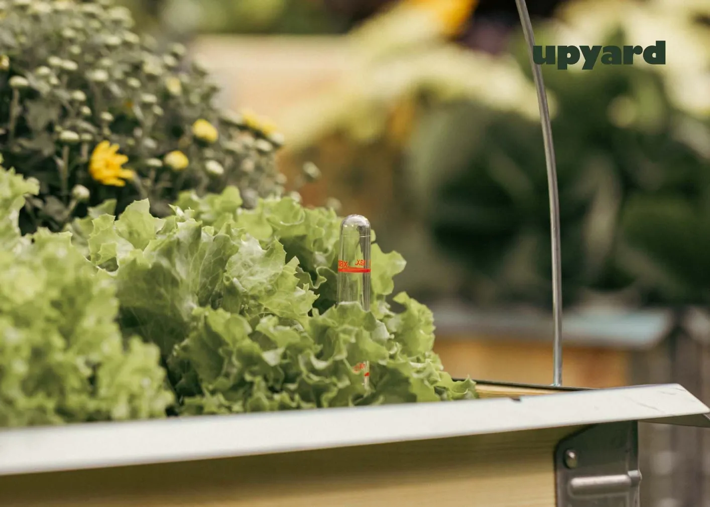 KASVULAVA UPYARD SUUR 55X37CM