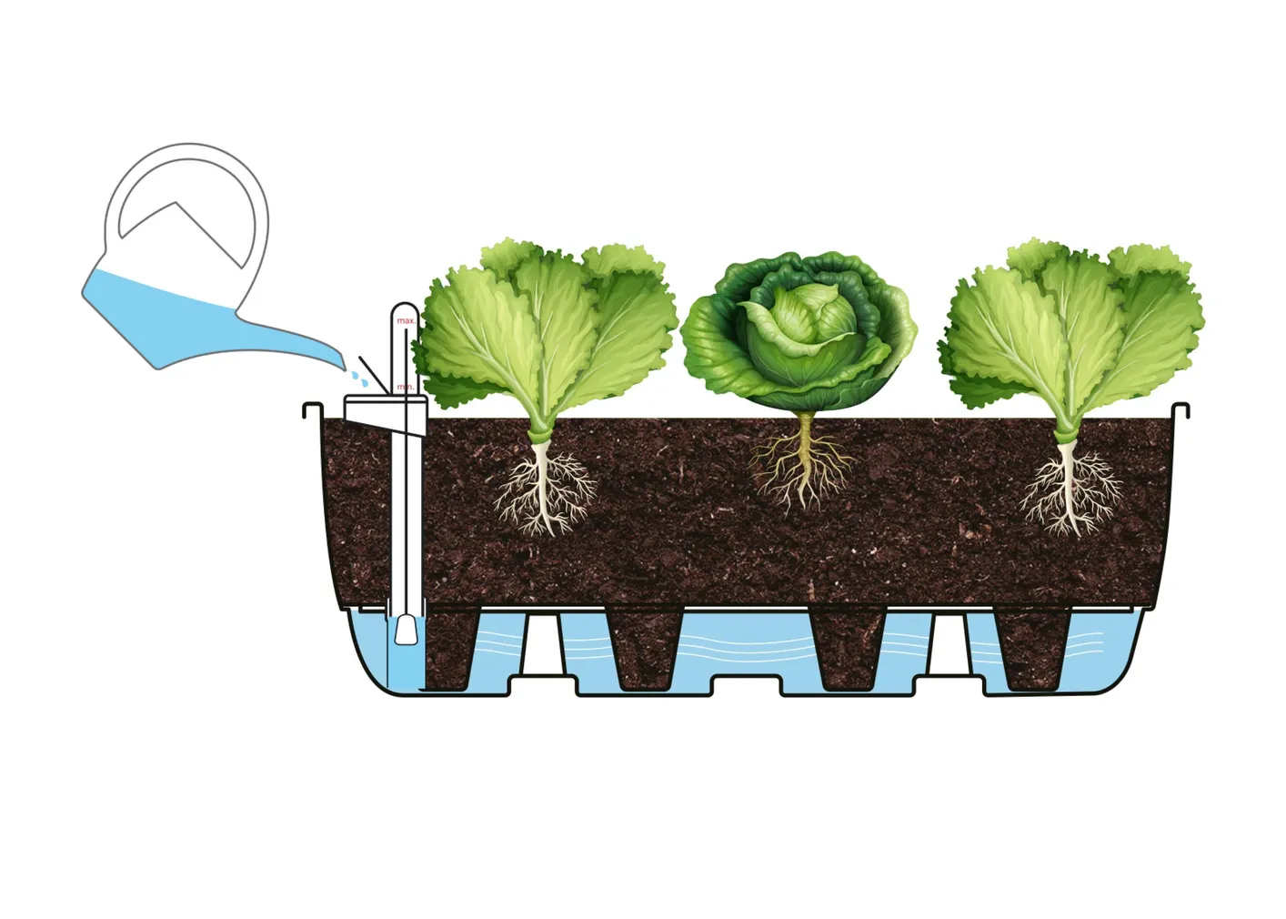 KASVULAVA UPYARD SUUR 55X37CM