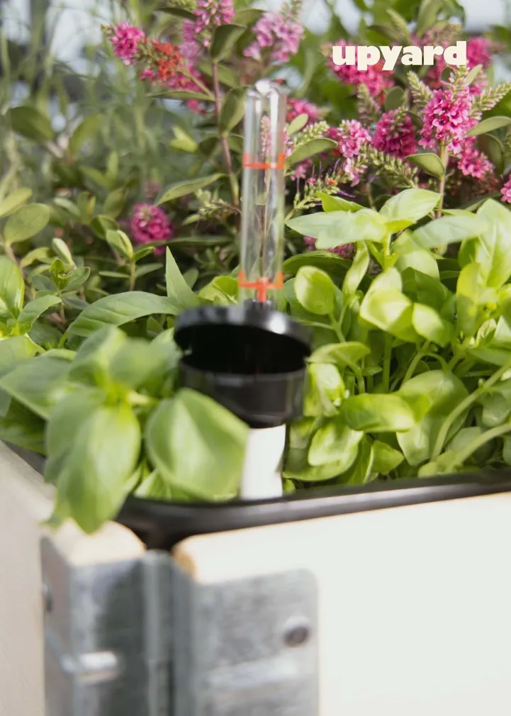 KASVULAVA UPYARD VÄIKE 37X26CM