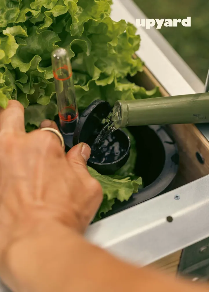 KASVULAVA UPYARD VÄIKE 37X26CM