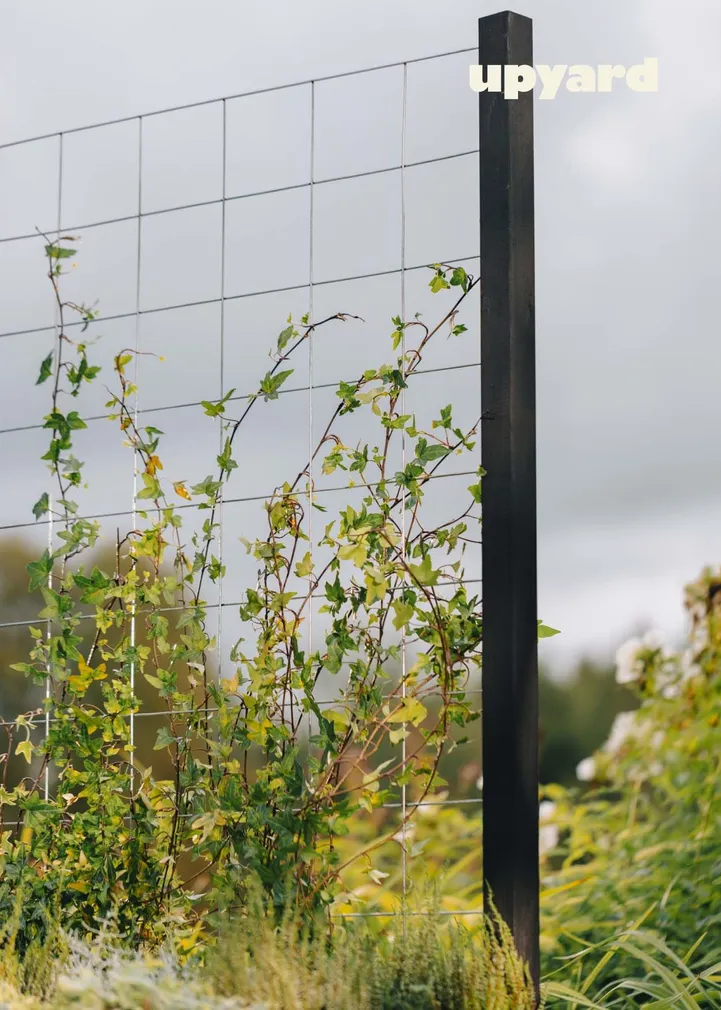 METALLIST VÕRE UPYARD 110X70CM