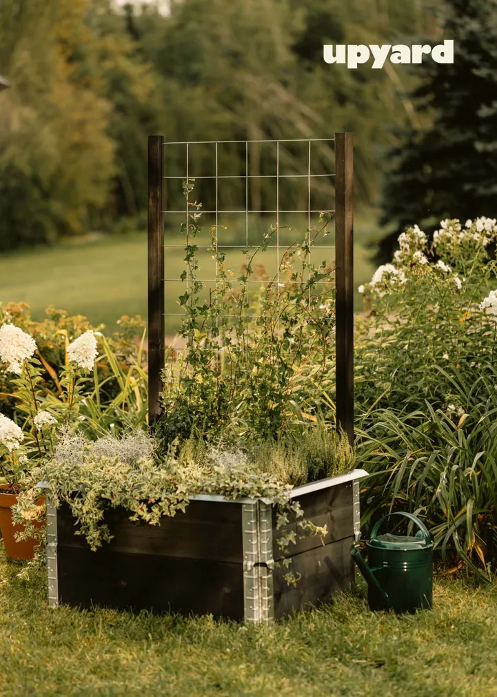 KINNITUS KASVULAVALE UPYARD, MUST