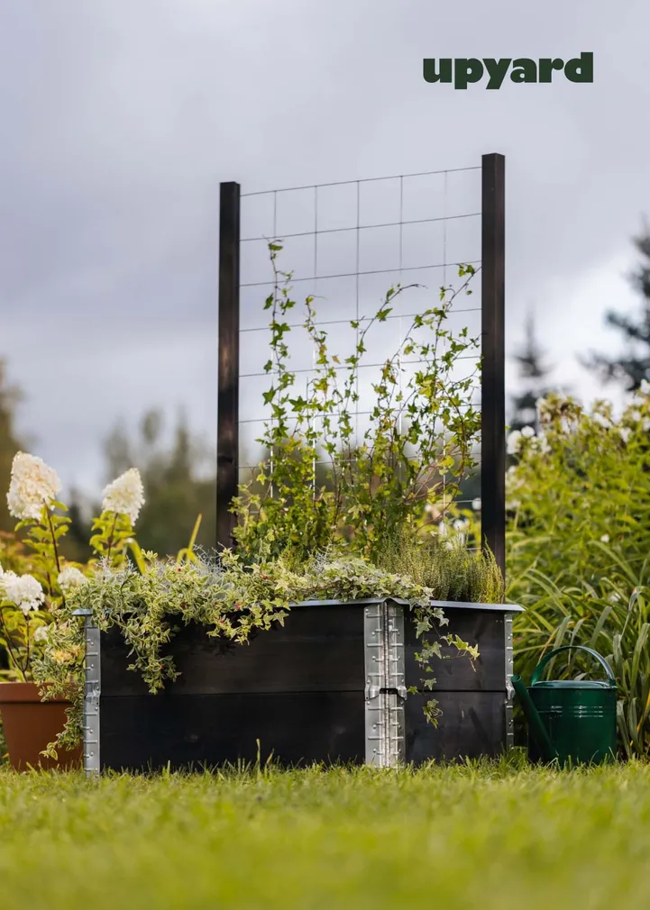 KINNITUS KASVULAVALE UPYARD, MUST