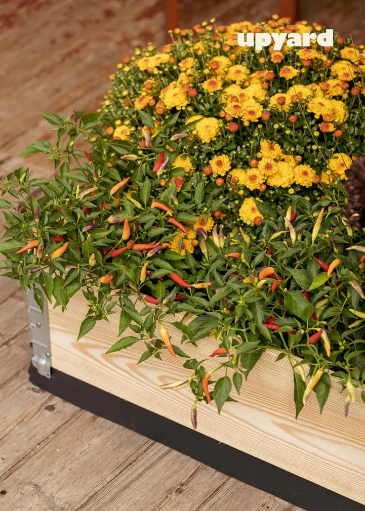 KAITSEALUS UPYARD 80X60CM