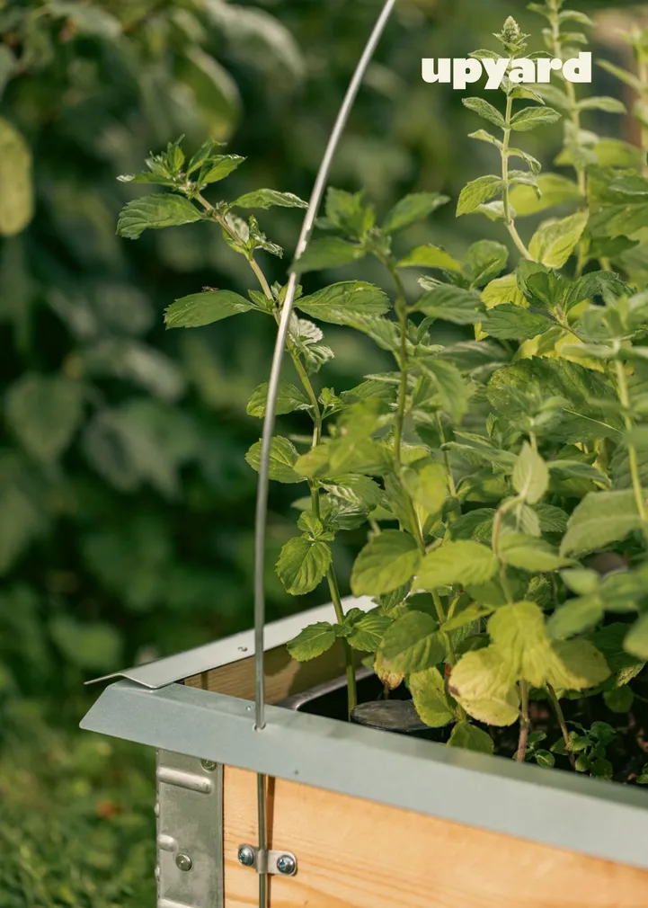 TUGIKAAR KINNITUSTEGA UPYARD 2TK