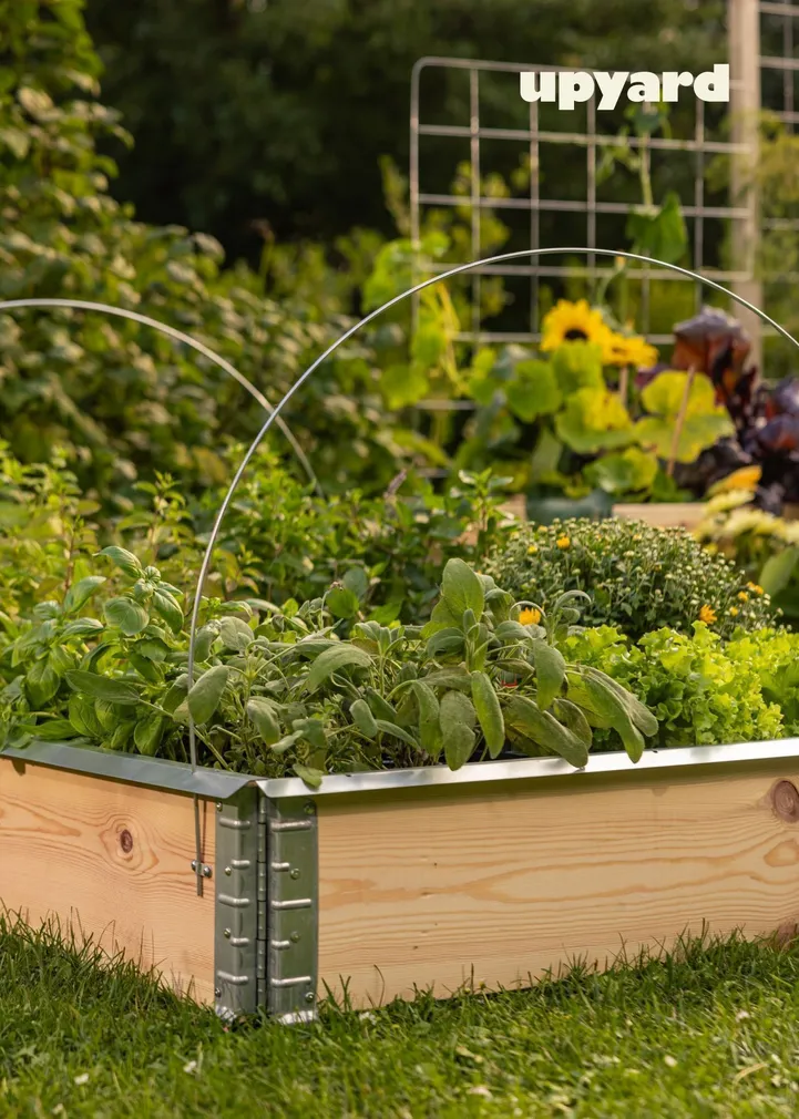 TUGIKAAR KINNITUSTEGA UPYARD 2TK