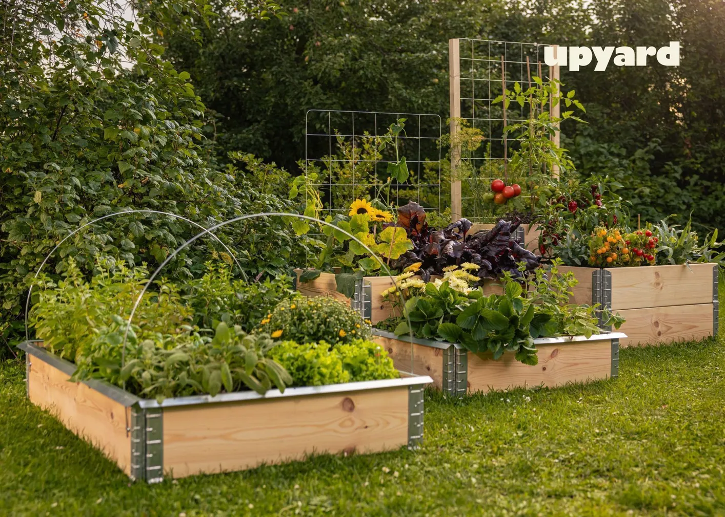 TUGIKAAR KINNITUSTEGA UPYARD 2TK