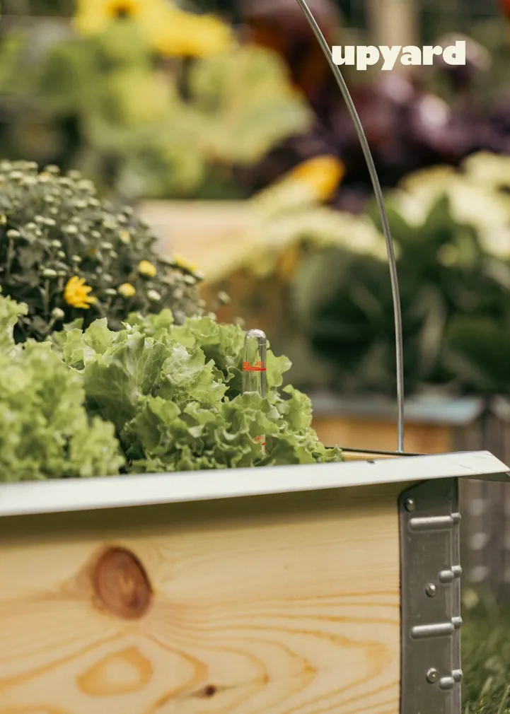 TUGIKAAR KINNITUSTEGA UPYARD 2TK