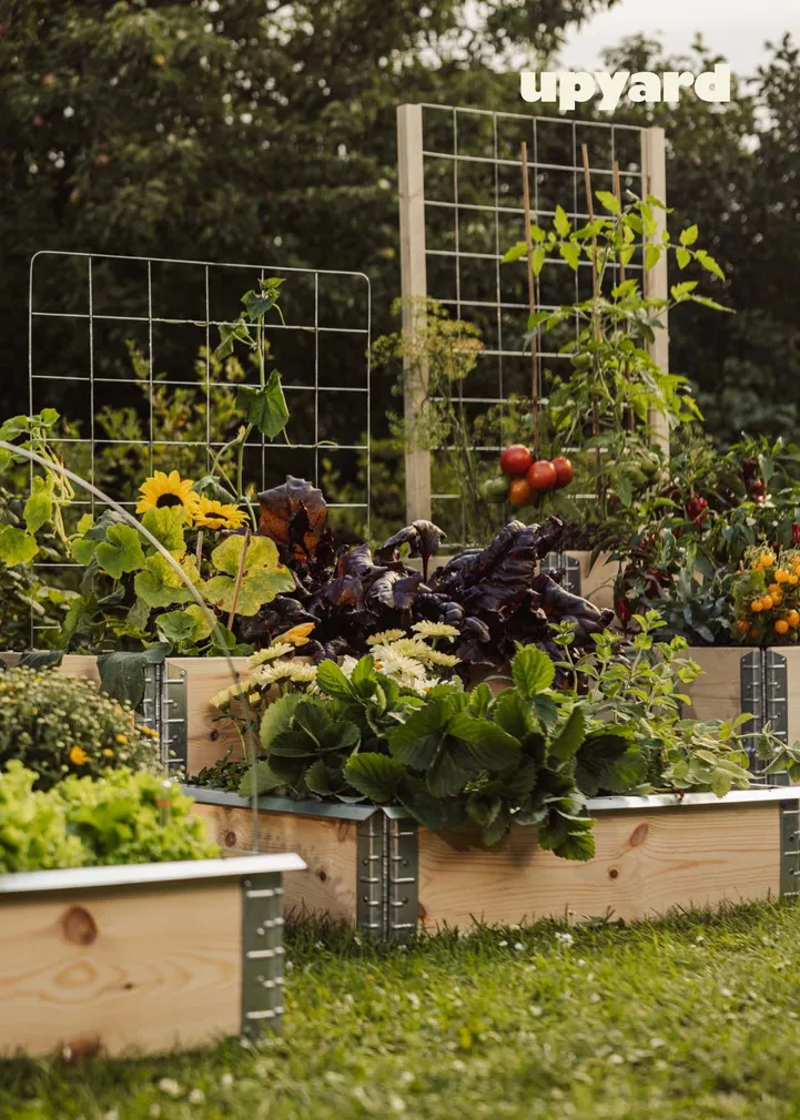 KAITSE TIGUDE VASTU UPYARD 80X60CM