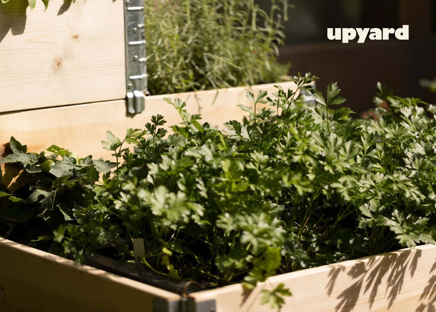 TAIMELAVA UPYARD 60X40CM NATURAALNE