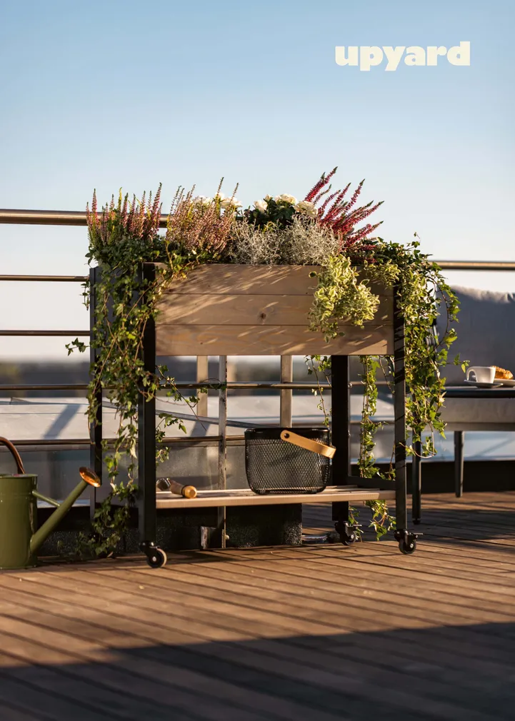 PEENRAKAST UPYARD KÕRGE 78X36CM HALL