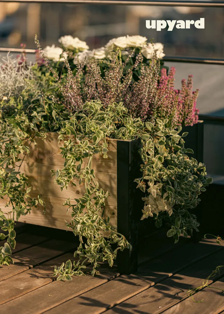 PEENRAKAST UPYARD MADAL 58X36CM NATURAALNE