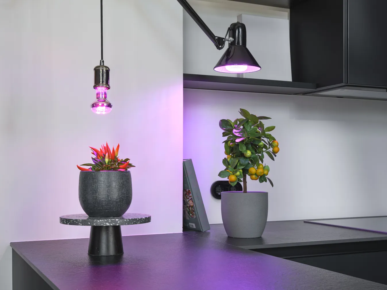 LED TAIMELAMP OSRAM R63 7,5W 230V E27