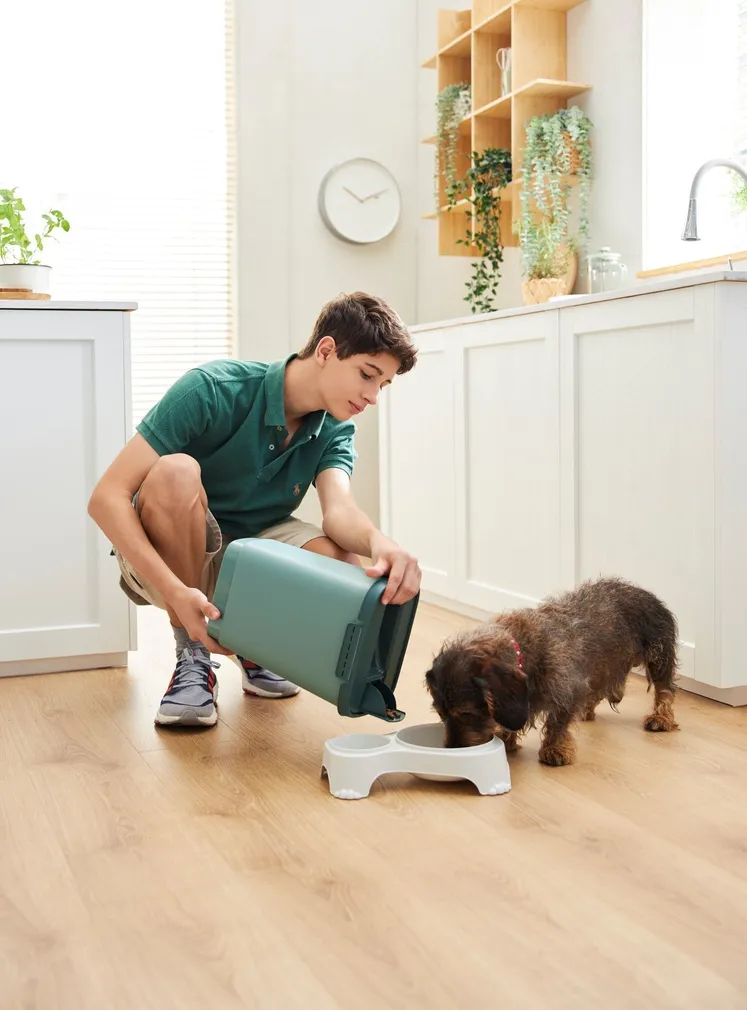 TOIDUKAST LEMMIKLOOMATOIDULE CODY KÜHVILGA ROHELINE 10L