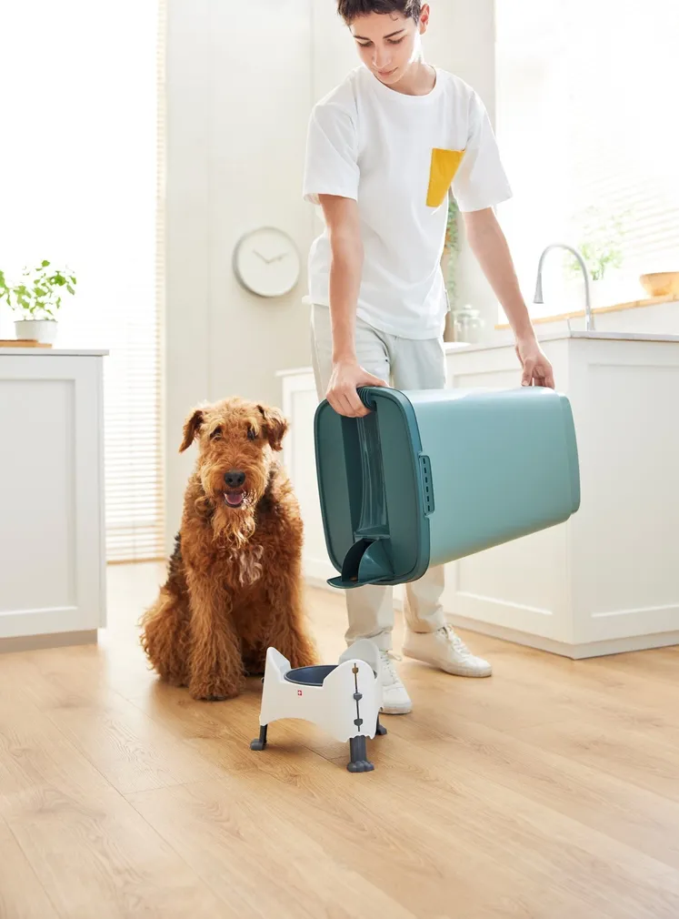 TOIDUKAST LEMMIKLOOMATOIDULE CODY KÜHVILGA ROHELINE 50L