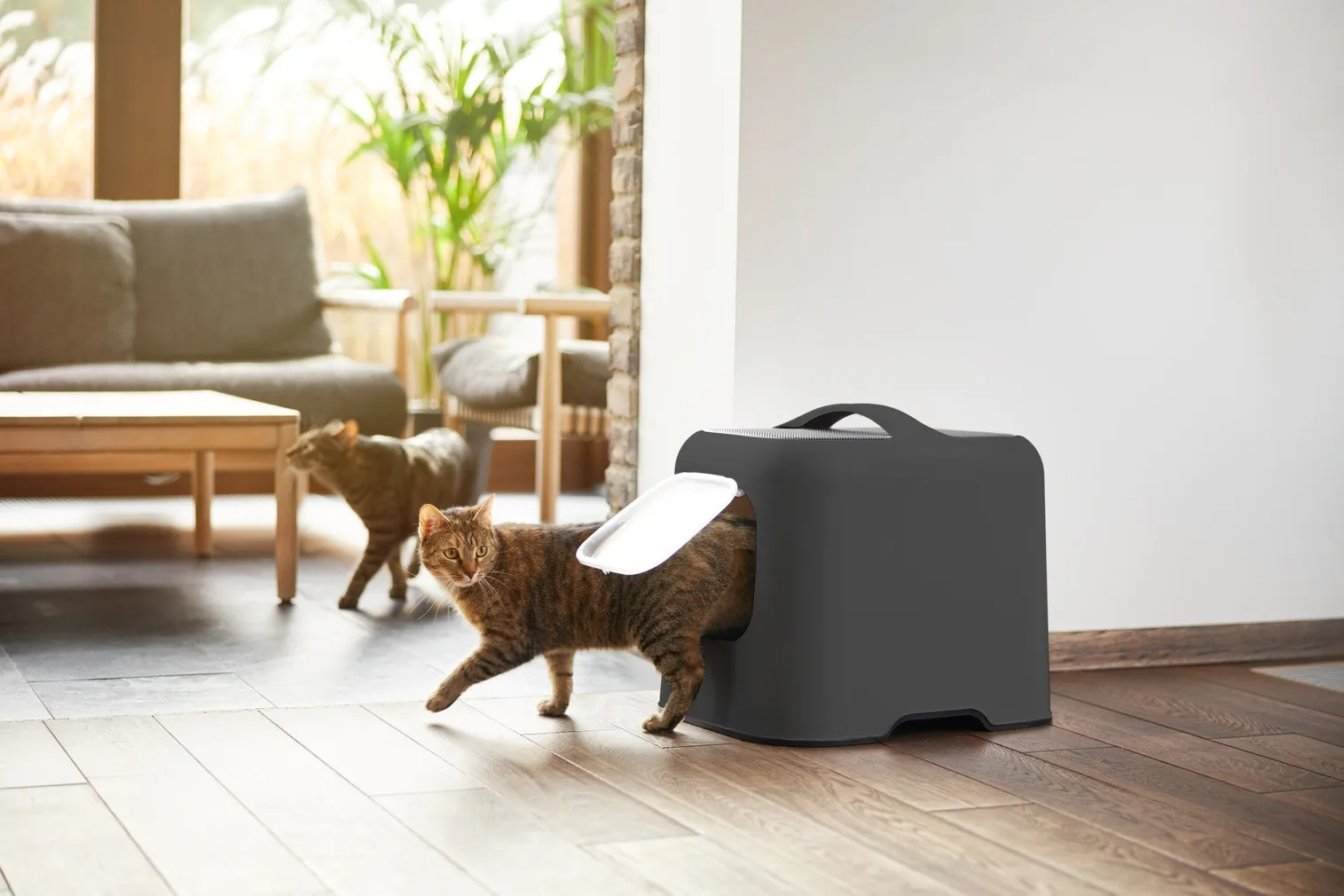 LIIVAKAST BIALA KASSIDELE MUST