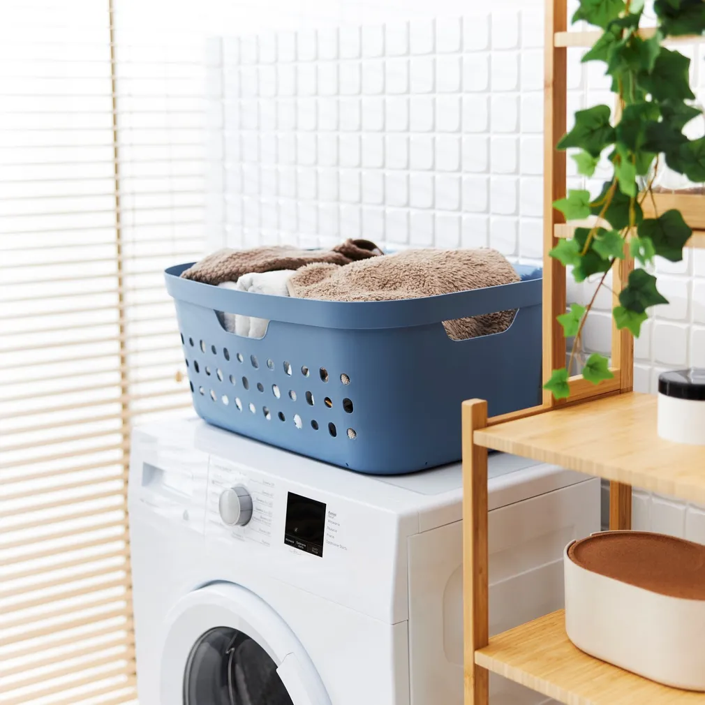 PESUKORV JONA SININE 39L