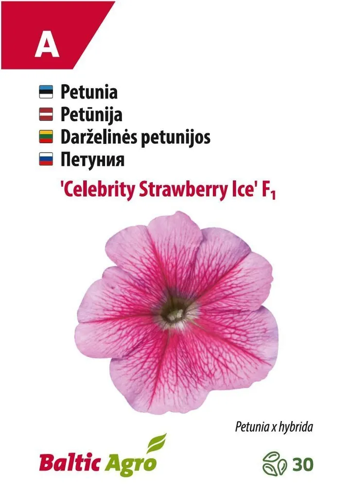 PETUUNIA BALTIC AGRO "CELEBRITY STRAWBERRY ICE"