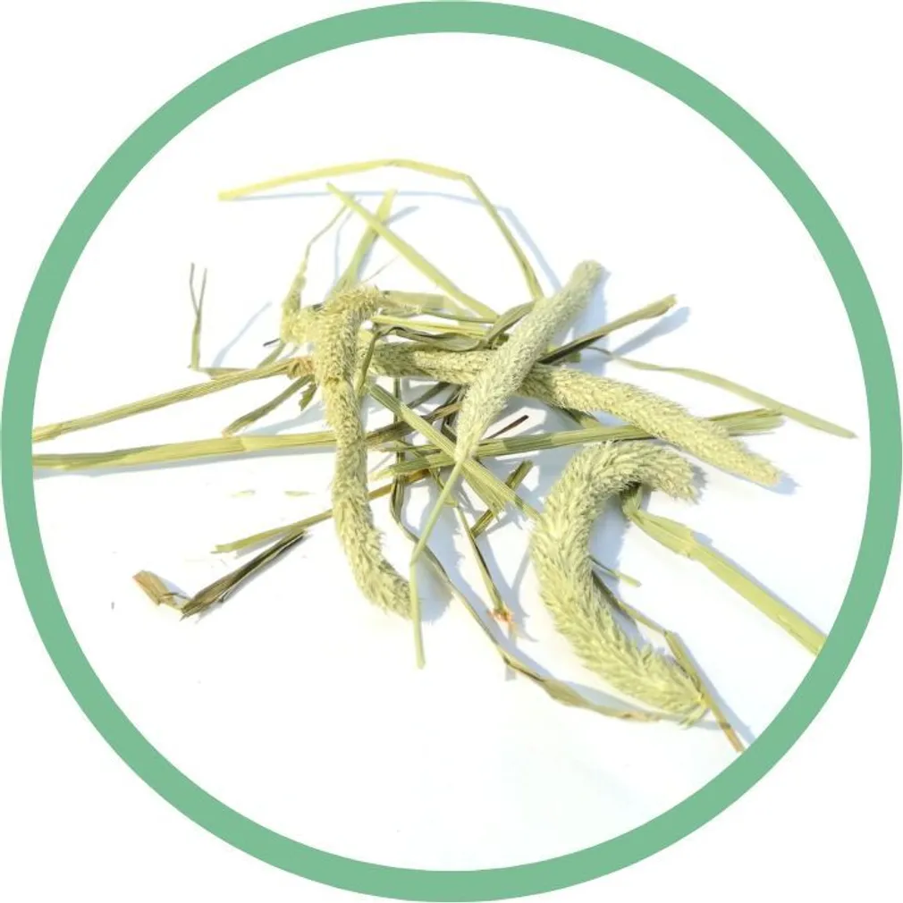 HEIN LEMMIKLOOMADELE NORDIC PET TIMOTHY 2KG