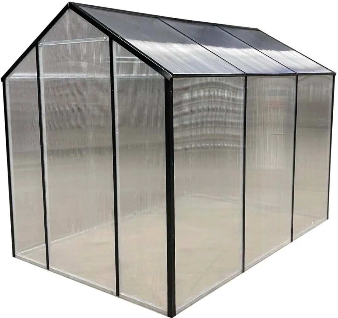 KASVUHOONE LEVI 2X3M 8MM