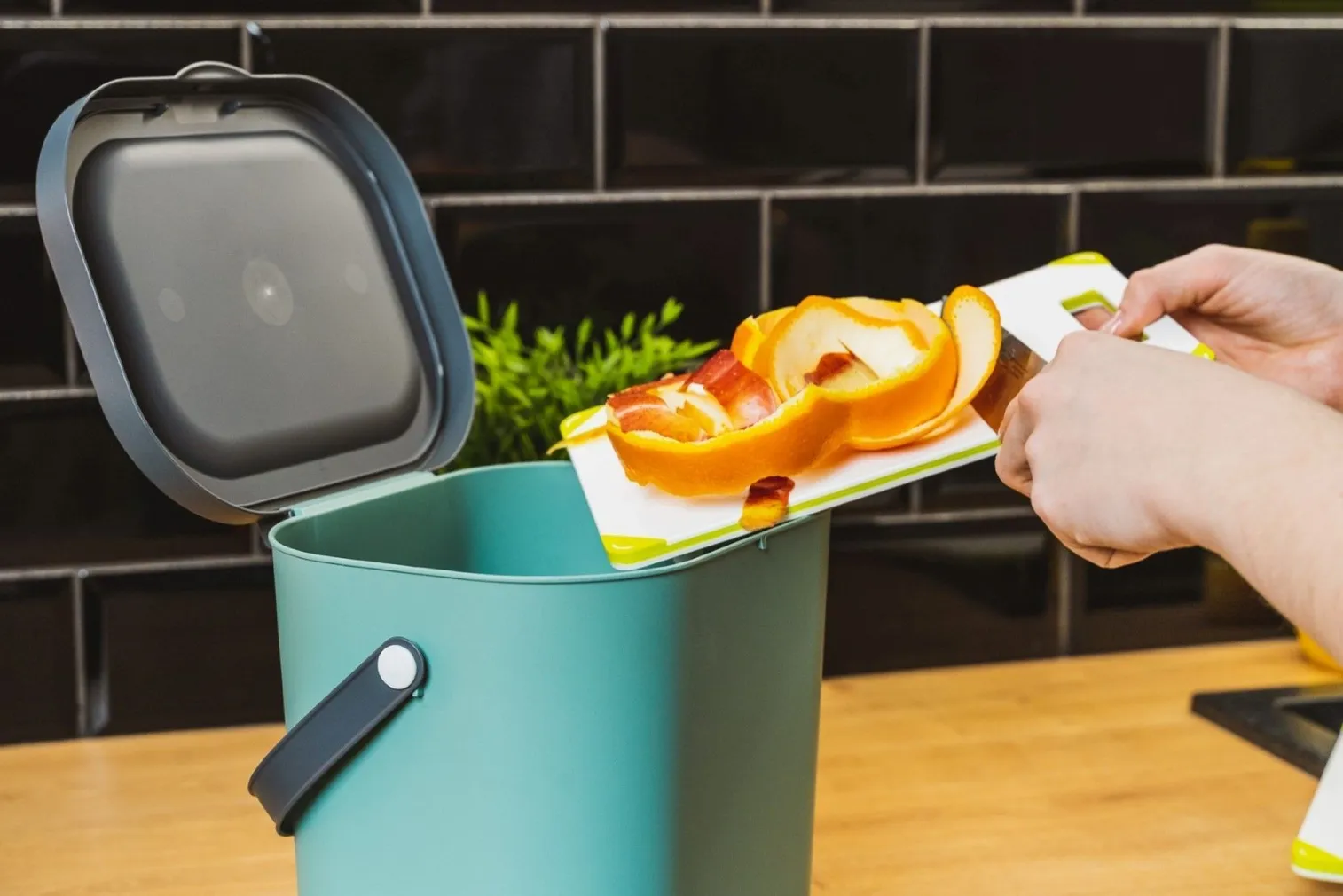 PRÜGISORTEERIMISKONTEINER ROTHO ALBULA ROHELINE 6L