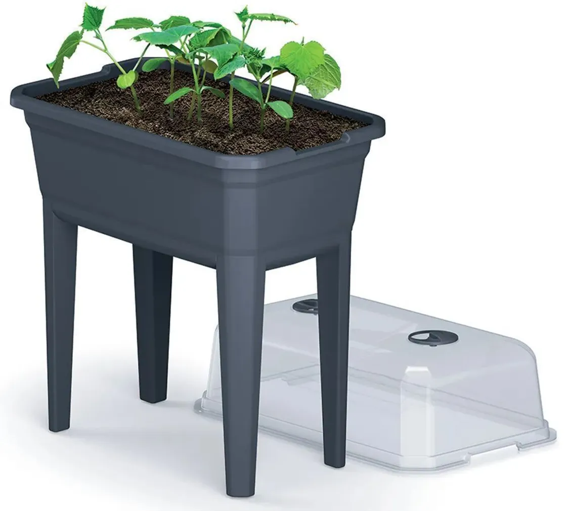 MINI KASVUHOONE JALGADEGA PROSPERPLAST 596MM, ANTRATSIIT