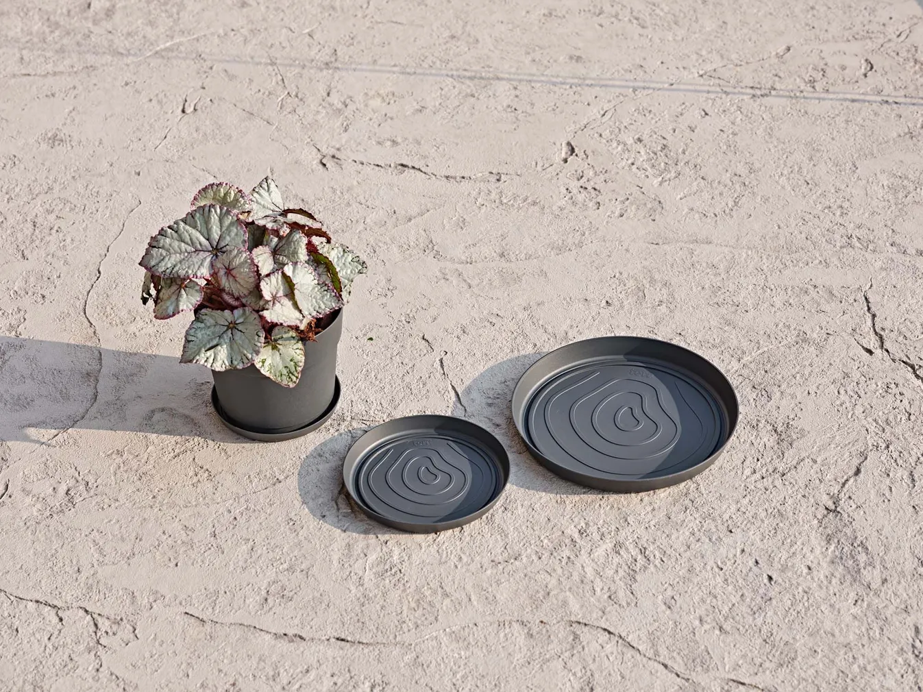 LILLEPOTI ALUSTALDRIK ORMA TUMEHALL Ø17CM