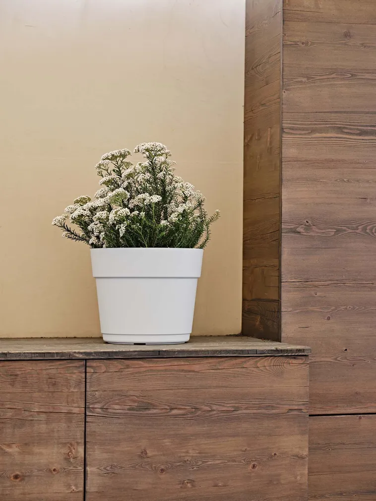 LILLEPOTT BLOOM VALGE Ø19CM