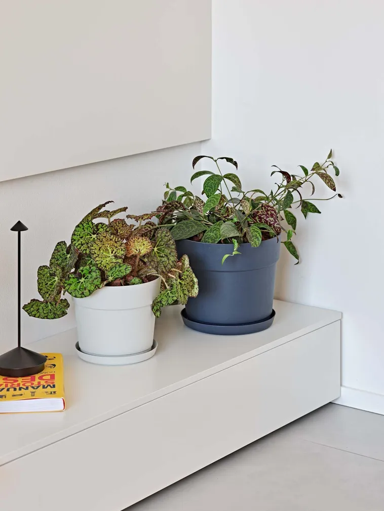 LILLEPOTT BLOOM VALGE Ø24CM