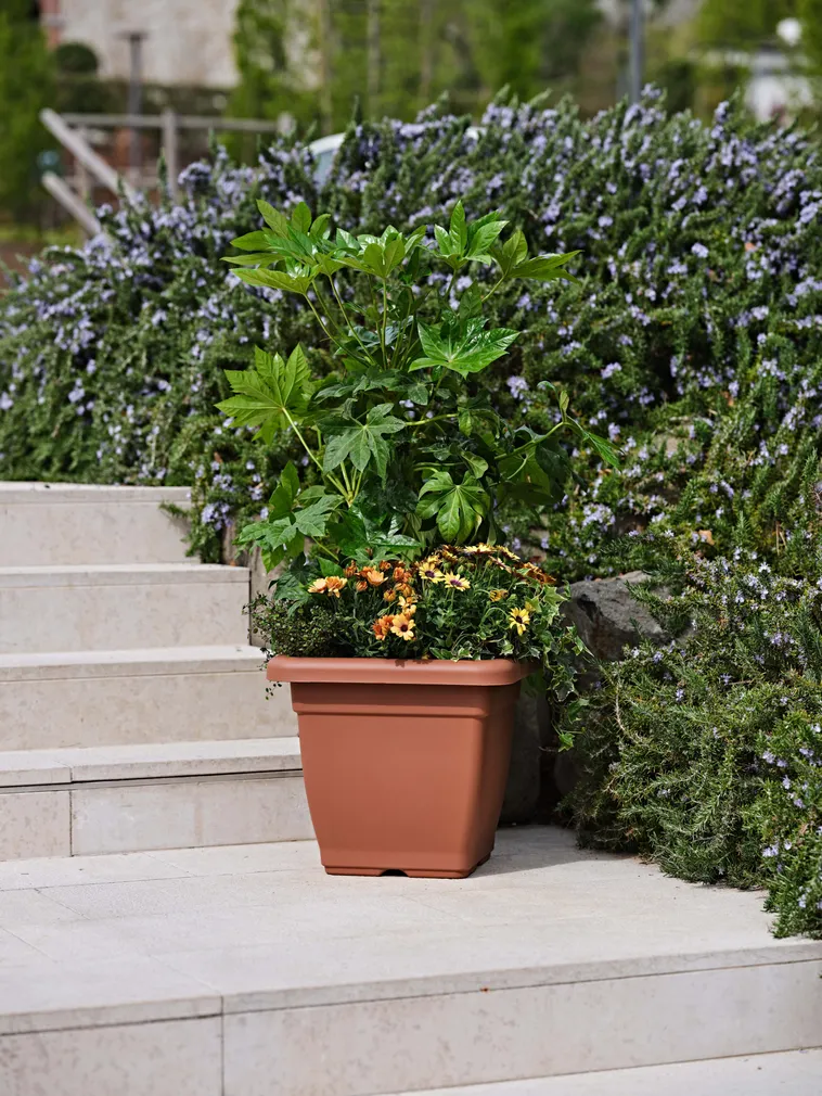 LILLEPOTT NAZCA PRUUN 45X45CM