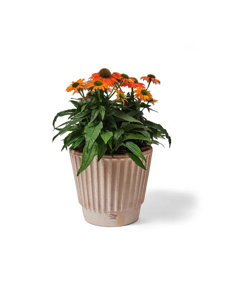 LILLEPOTT BRONTE GALESTRO Ø19CM