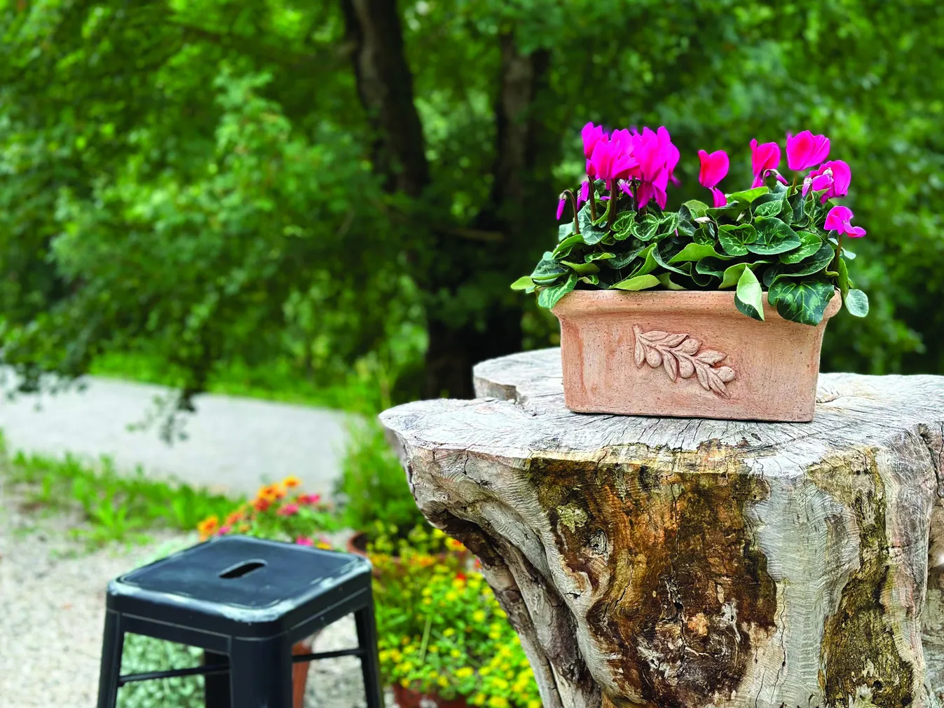 LILLEPOTT GALANTE GALESTRO 13X30CM