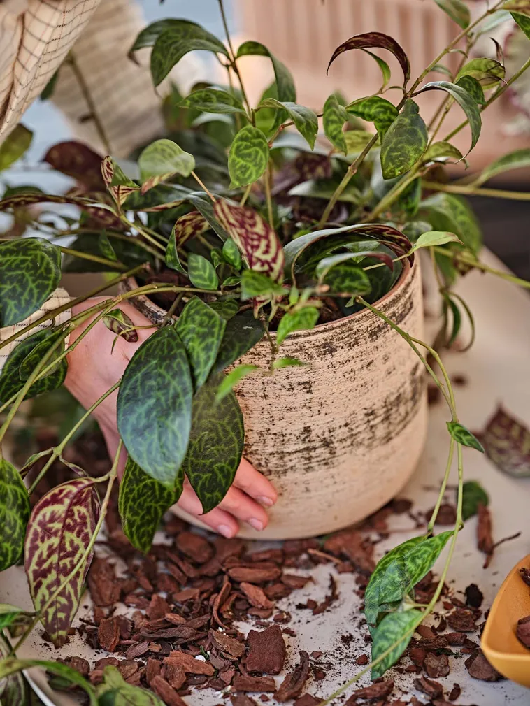 LILLEPOTT MURGIA MATERA Ø19CM