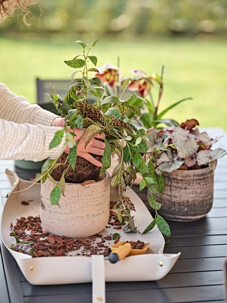 LILLEPOTT MURGIA MATERA Ø19CM