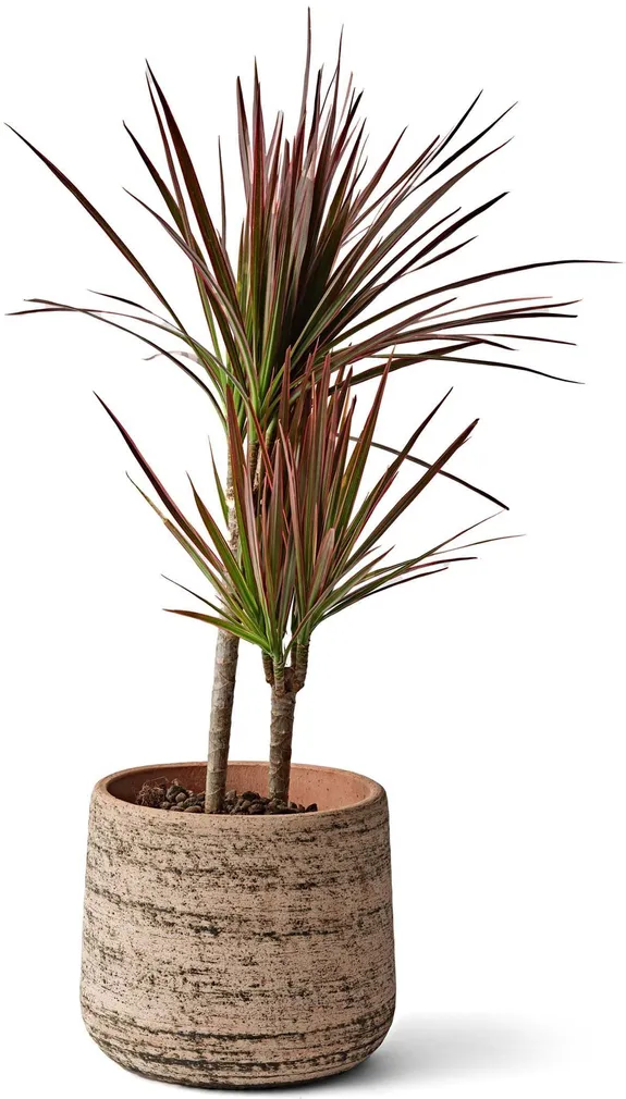 LILLEPOTT MURGIA MATERA Ø23CM