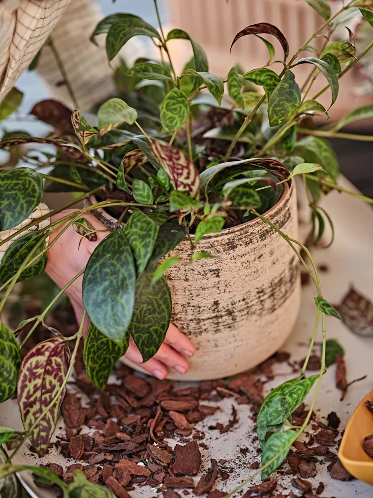 LILLEPOTT MURGIA MATERA Ø23CM