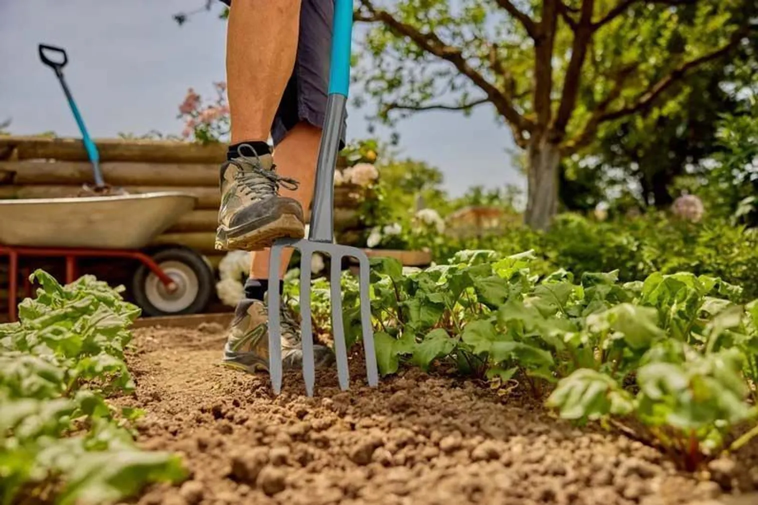 KAEVAMISHARK GARDENA CLASSICLINE