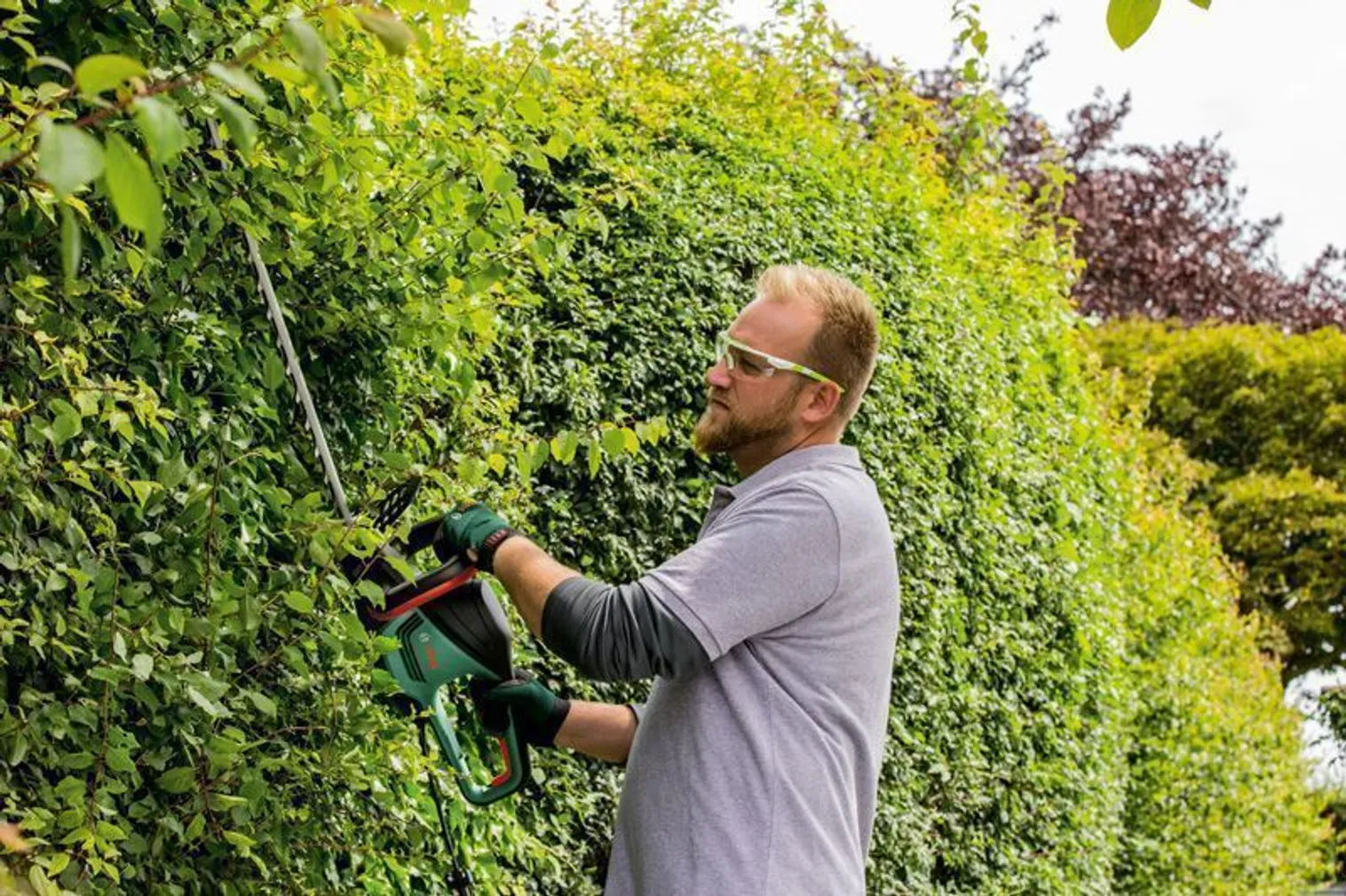 HEKILÕIKUR BOSCH ADVANCEDHEDGECUT 65