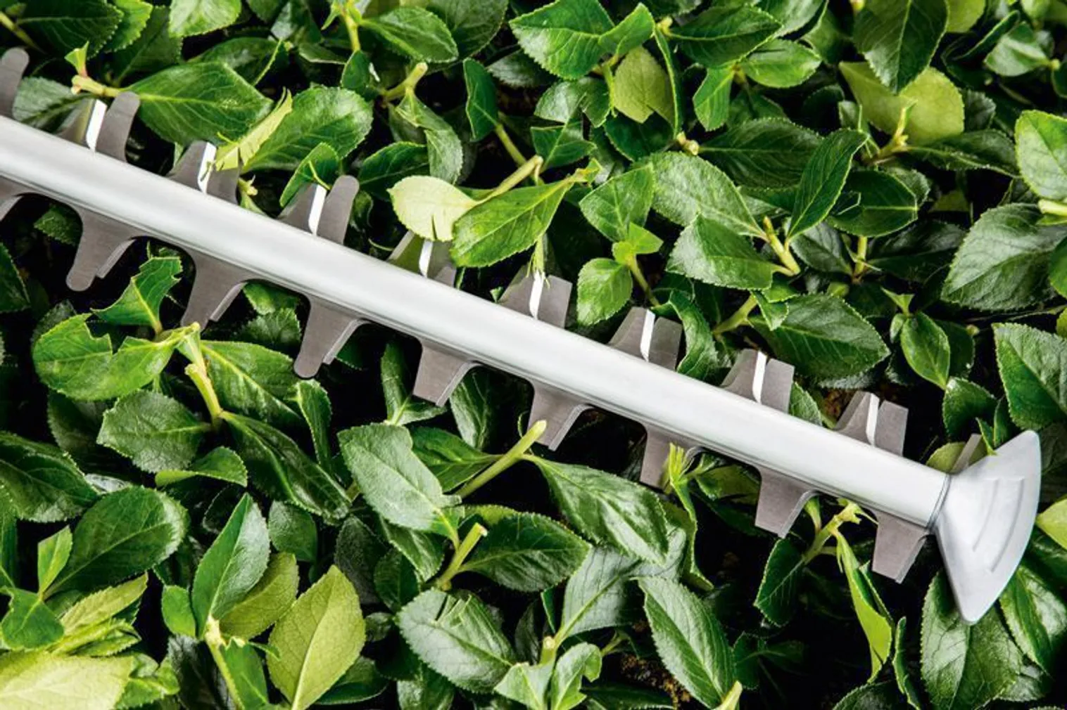 HEKILÕIKUR BOSCH UNIVERSALHEDGECUT 60