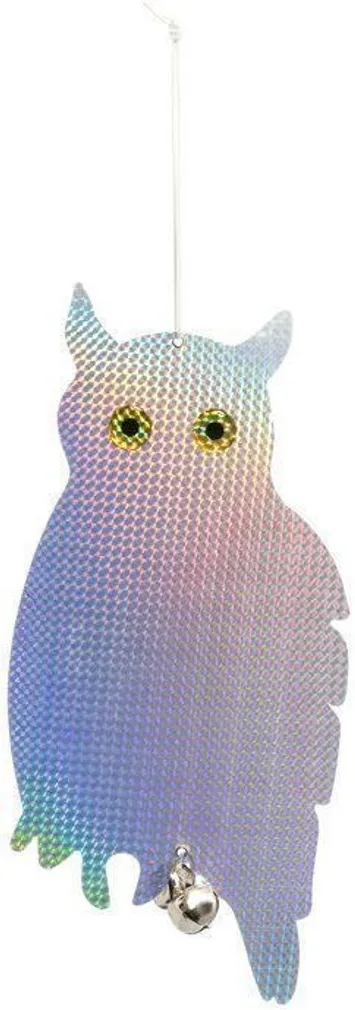 LINNUPELETAJA TARMO ÖÖKULL KELLUKESTEGA