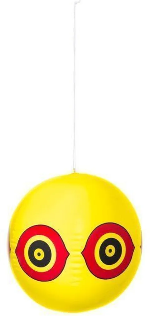 LINNUPELETAJA-ÕHUPALL TARMO KOLLANE